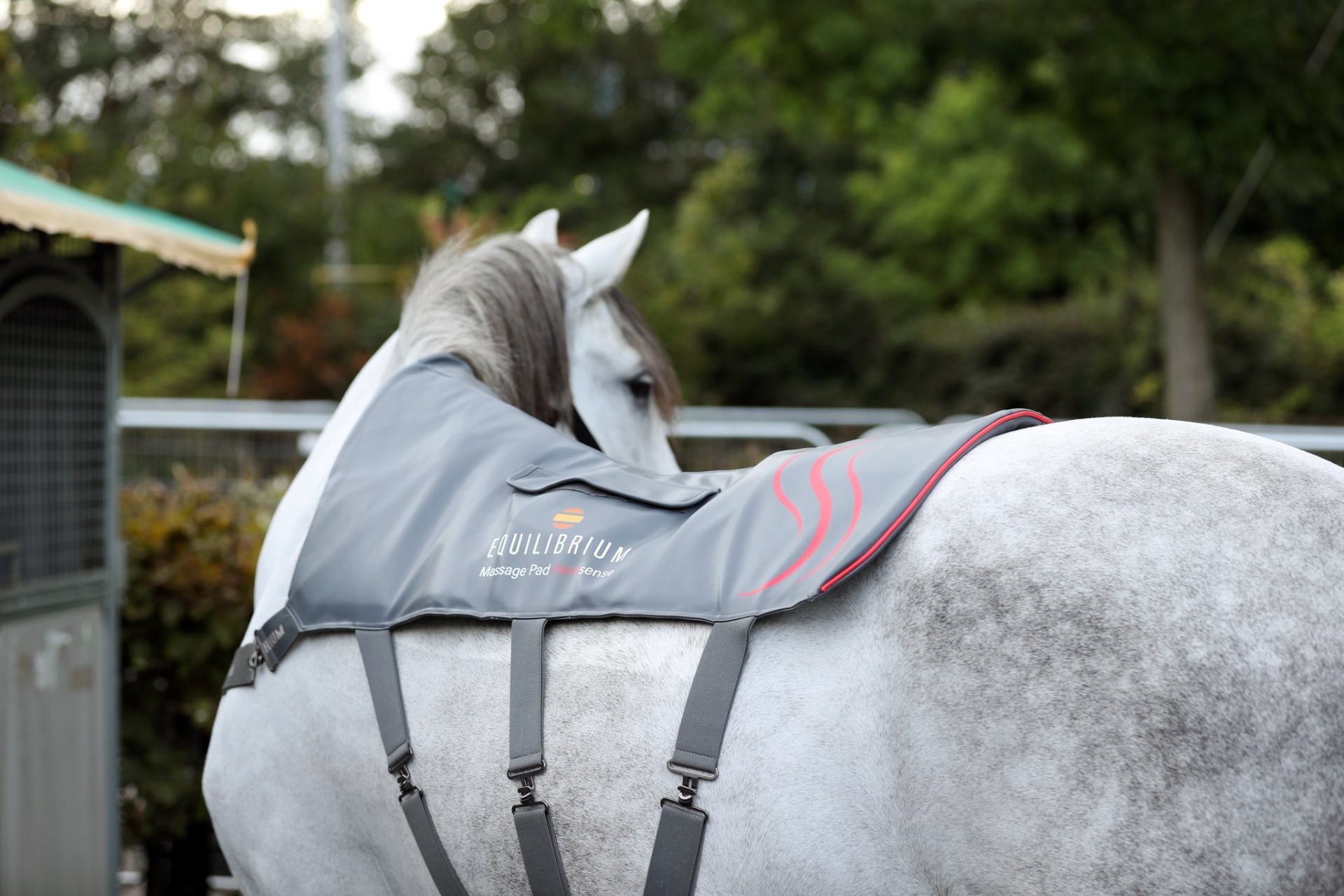 Equilibrium masszázs termékek