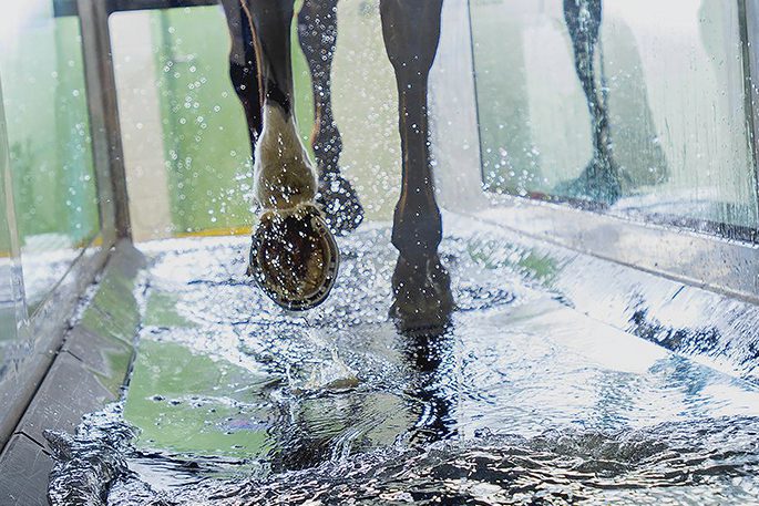 Futópadok, Aquatréner, Balneo terápia